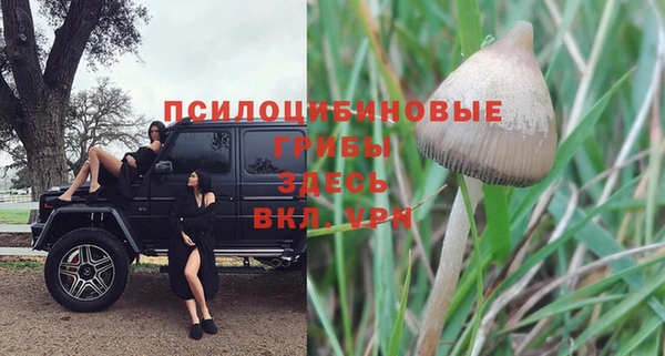МДПВ Магас